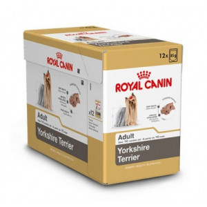 Royal Canin Adult Yorkshire Terrier pâtée pour chien 4 boîtes (48 x 85 g)