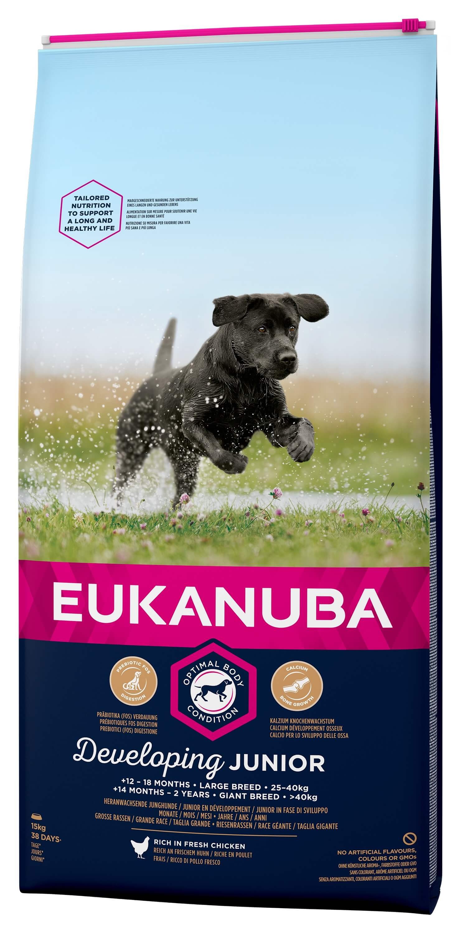 Eukanuba Developing Junior Large Breed au poulet au Chien