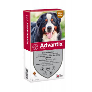 Advantix 600/3000 voor honden van 40 tot 60 kg
