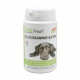 PhytoTreat Glucosamine-Extra pour chien