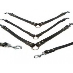 Laisse double extension 18 mm