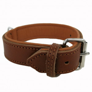 Collier en cuir souple Topaz pour chien 60cm x 30mm