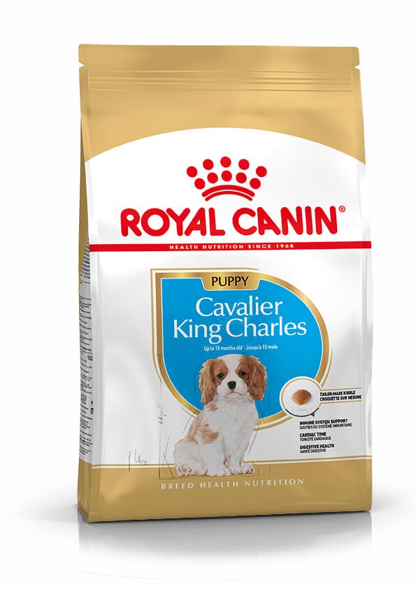 Royal Canin Puppy Cavalier King Charles pour chiot