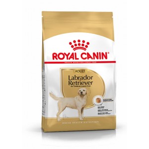 royal canin adult labrador retriever pour chien pâtée (10x140g)