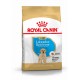 Royal Canin Puppy Labrador Retriever pour chiot