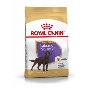 Royal Canin Sterilised Adult Labrador Retriever pour chien 2 x 3 kg