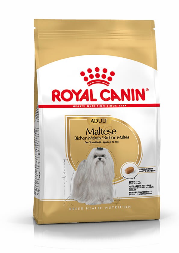Royal Canin Adult Bichon Maltais pour chien