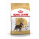 Royal Canin Adult Schnauzer Nain pour chien