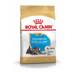 Royal Canin Puppy Schnauzer Nain pour chiot 3 x 1,5 kg
