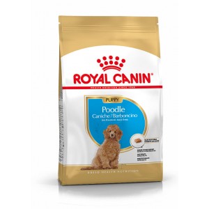 Royal Canin Puppy Caniche pour chiot 3 kg