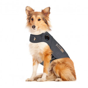 Thundershirt pour Chien
