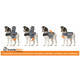 Thundershirt pour Chien