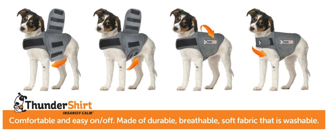 Thundershirt pour Chien