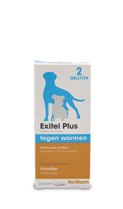 Exil No Worm Hond M. voor de hond