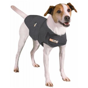 Thundershirt pour Chien