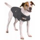 Thundershirt pour Chien