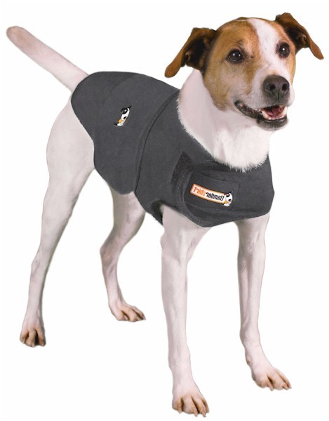 Thundershirt pour Chien
