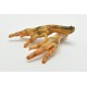 Brekz Snacks - Pattes de poulet pour chien