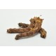 Brekz Snacks - Cou de poulet pour chien