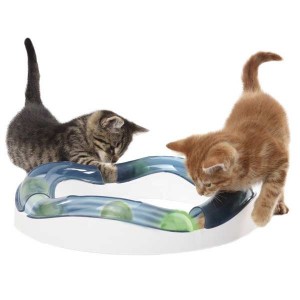 Cat It Senses Speed Circuit