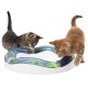 Cat It Senses Speed Circuit