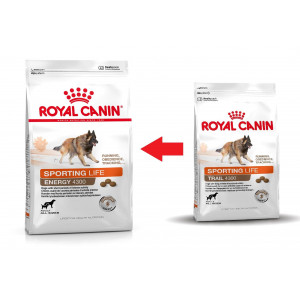 Royal Canin Sporting Energy 4300 pour chien