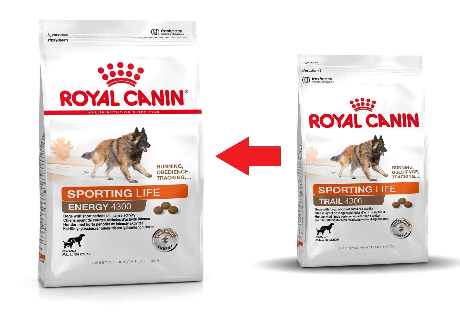 Royal Canin Sporting Energy 4300 pour chien