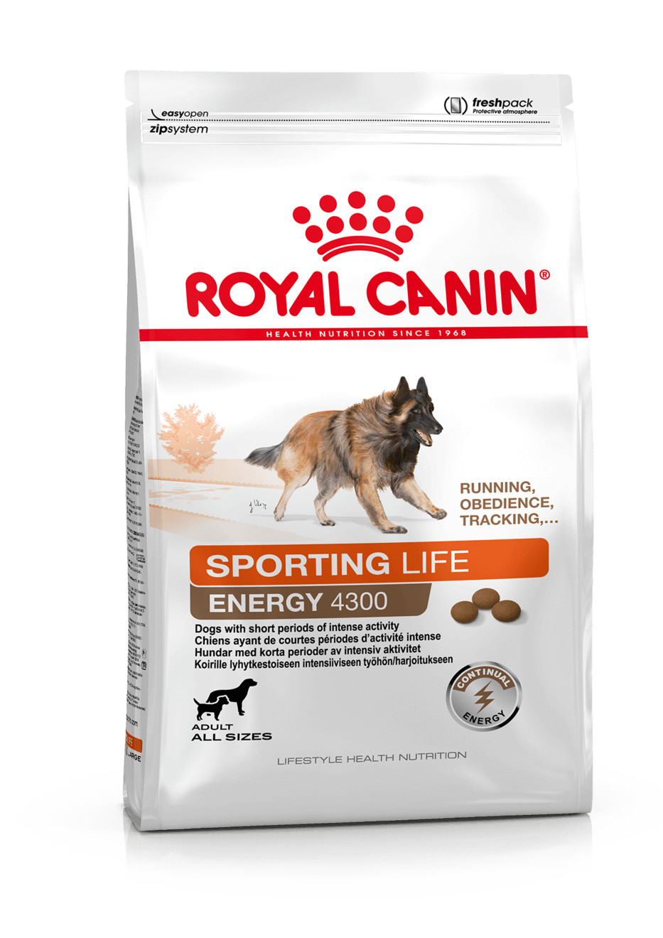Royal Canin Sporting Energy 4300 pour chien