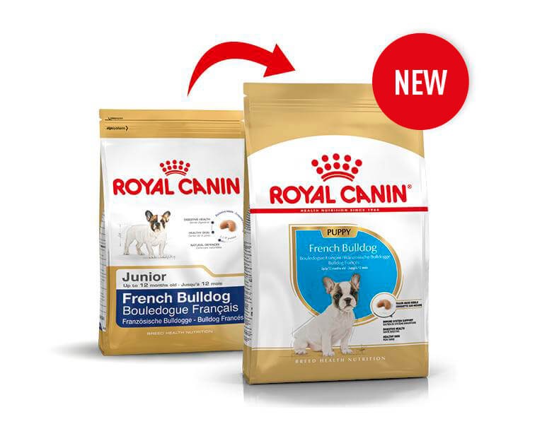 Royal Canin Bouledogue Français Puppy pour chiot