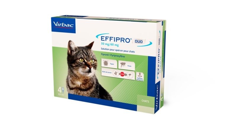 Effipro Duo Spot-on voor katten tot 6 kg