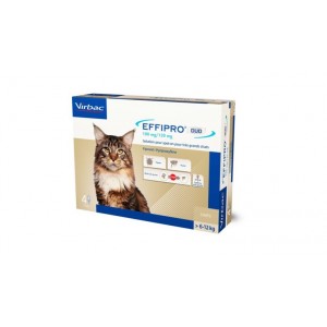 Effipro Duo Spot-On pour Chat (6-12 kg) 2 x 4 pipettes