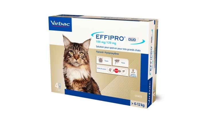 Effipro Duo Spot-on voor katten van 6 tot 12 kg