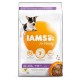 Iams for Vitality Chiot Puppy Small & Medium Poulet