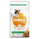 Iams for Vitality Adult Small & Medium Breed pour chien