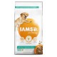 Iams for Vitality Adult Light pour chien