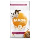 Iams for Vitality Senior Small & Medium Poulet pour chien