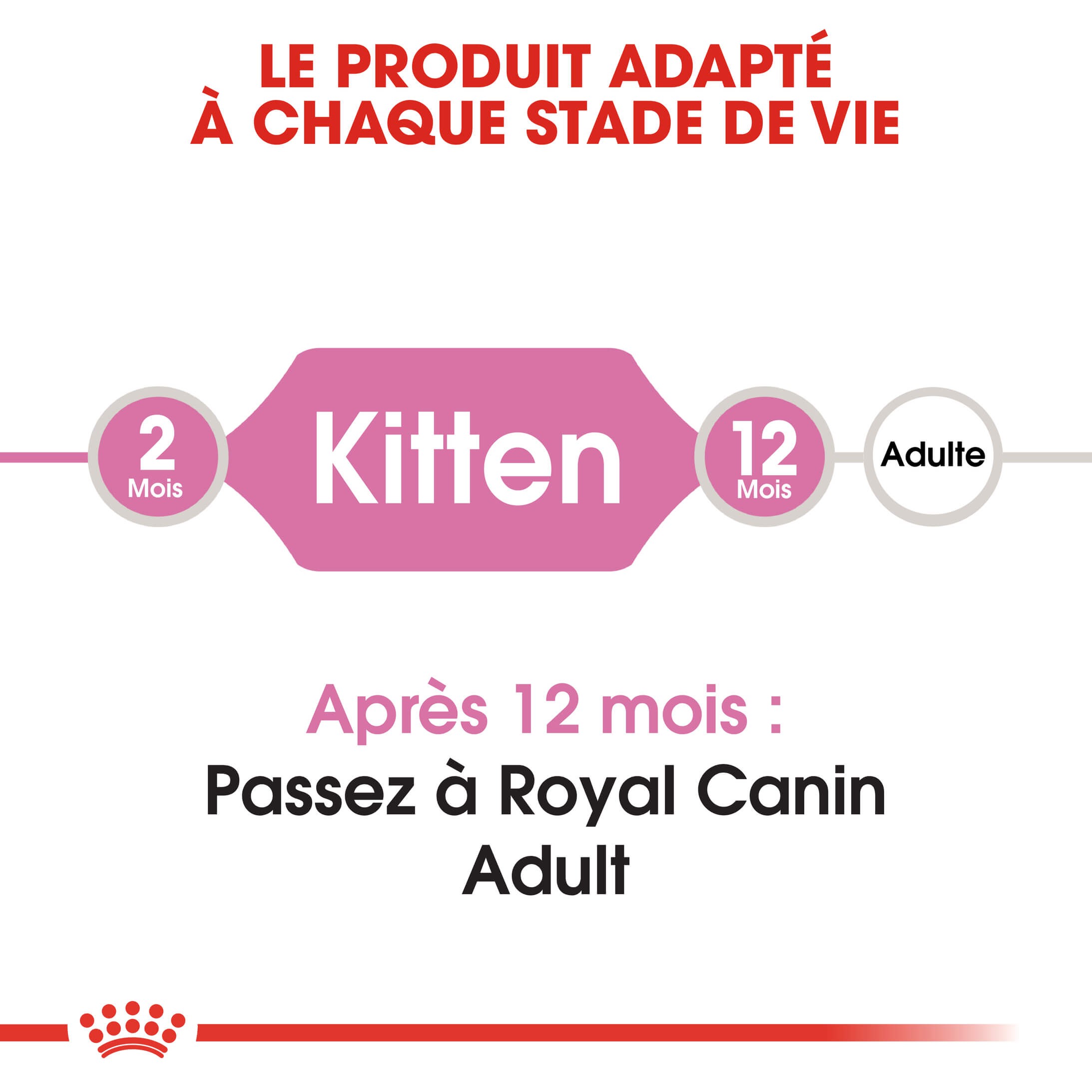 Royal Canin Chaton pour chat