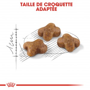 Royal Canin Chaton 36