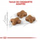 Royal Canin Chaton 36