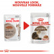 Royal Canin Ageing 12+ pour chat x12 sachets