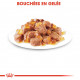 Royal Canin Instinctive pâtée pour chat (85 g)