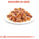 Royal Canin Kitten en sauce pâtée pour chaton (85 g)