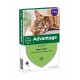 Advantage Nr. 80 pour chat