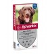 Advantix 400/2000 pour chien