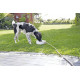 Outdoor drinkbak 1,5 lt voor de hond en kat