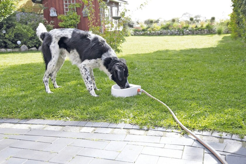 Outdoor drinkbak 1,5 lt voor de hond en kat