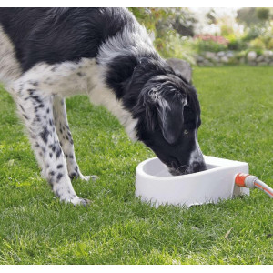 abreuvoir automatique 1,5 litre pour l&apos;extérieur pour chien et chat une pièce