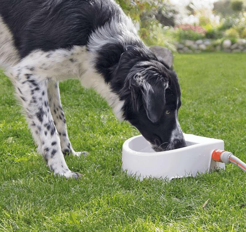 Outdoor drinkbak 1,5 lt voor de hond en kat