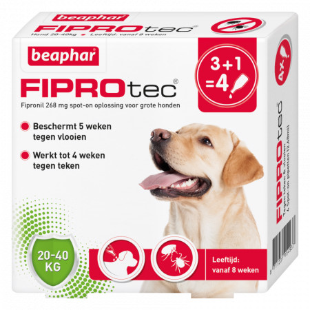 Beaphar Fiprotec Spot-On pour chien de 20 à 40 kg