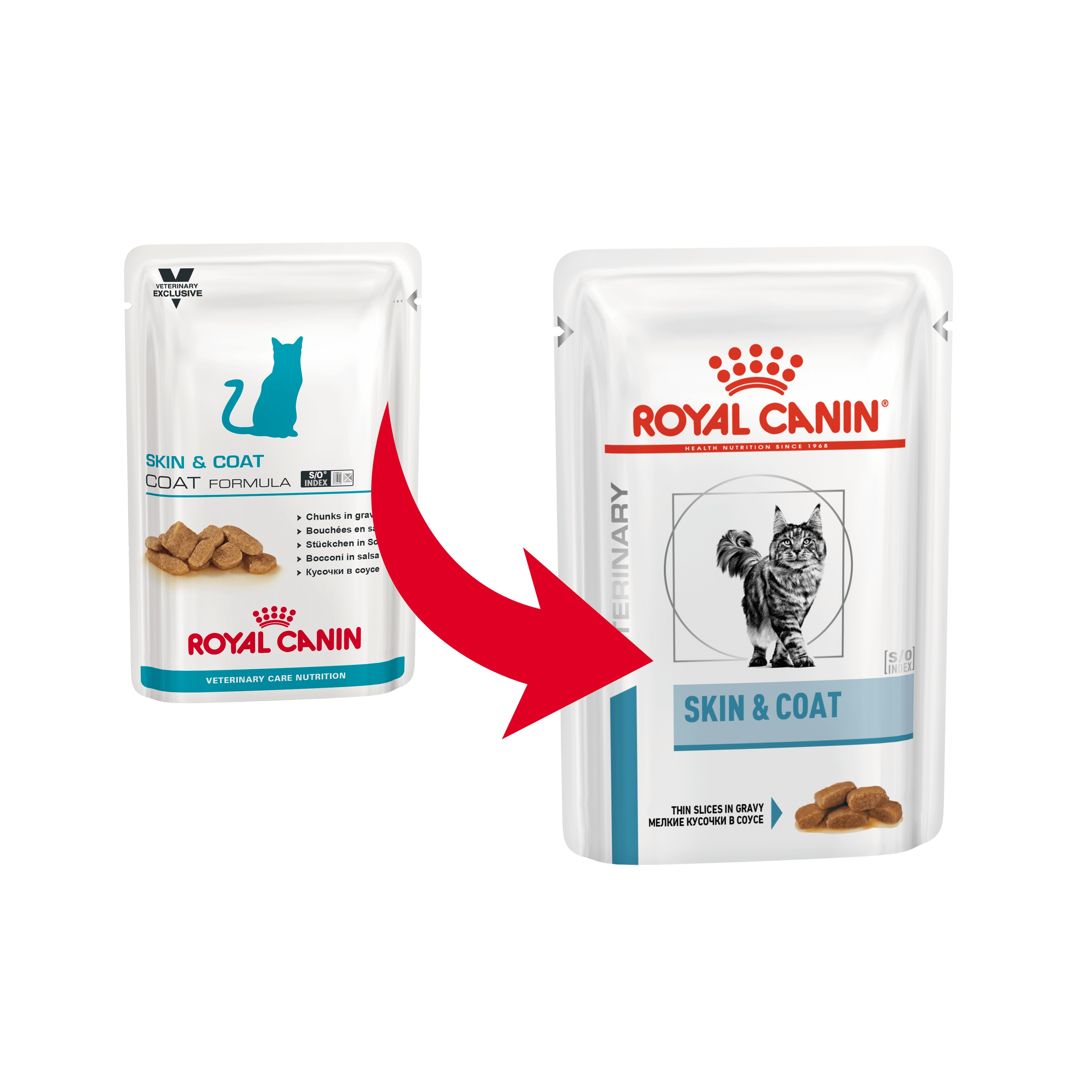 Royal Canin Skin & Coat Sachets pour Chat Bas prix Large choix